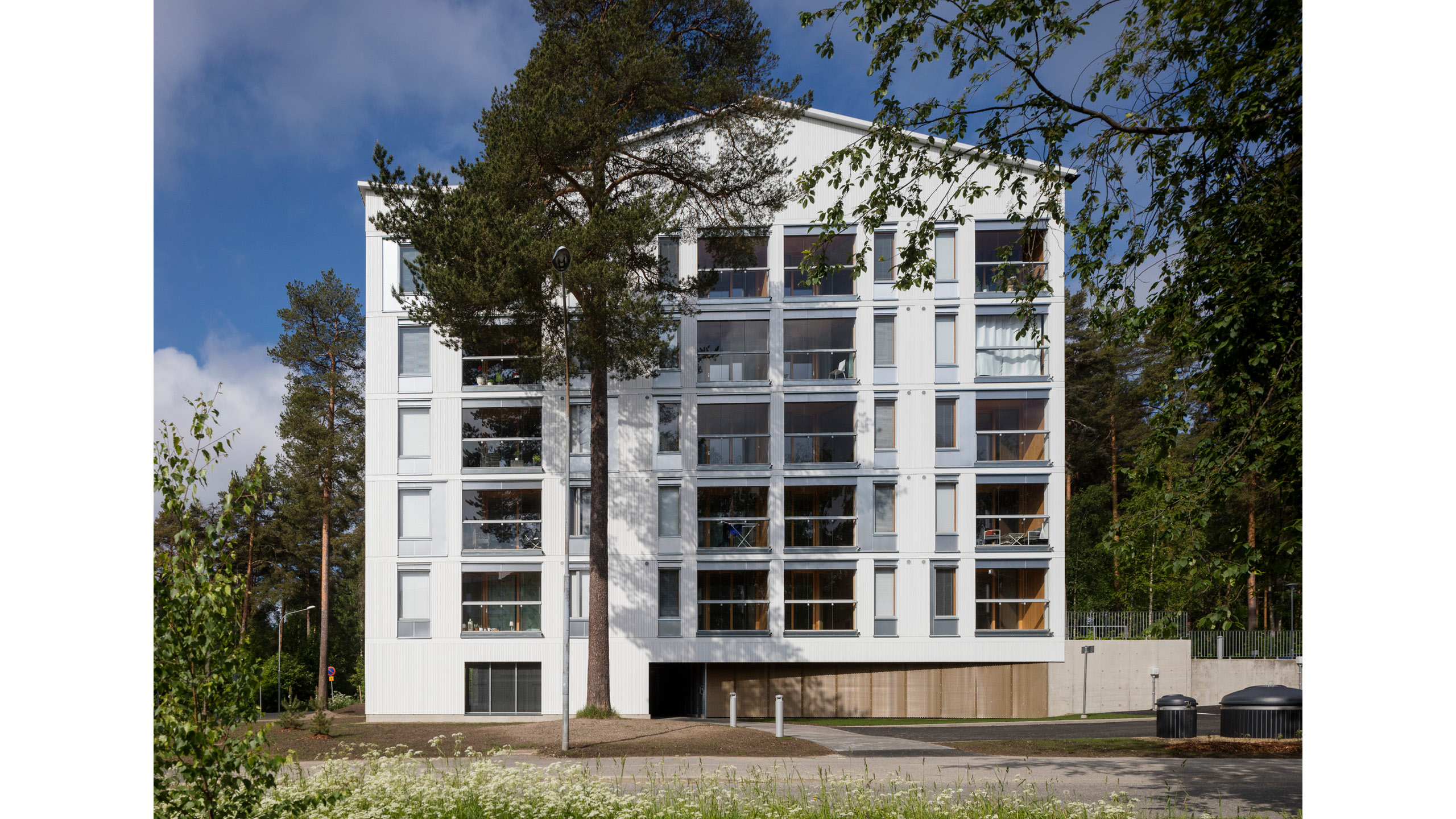 OOPEAA_Pihapetäjä_web-