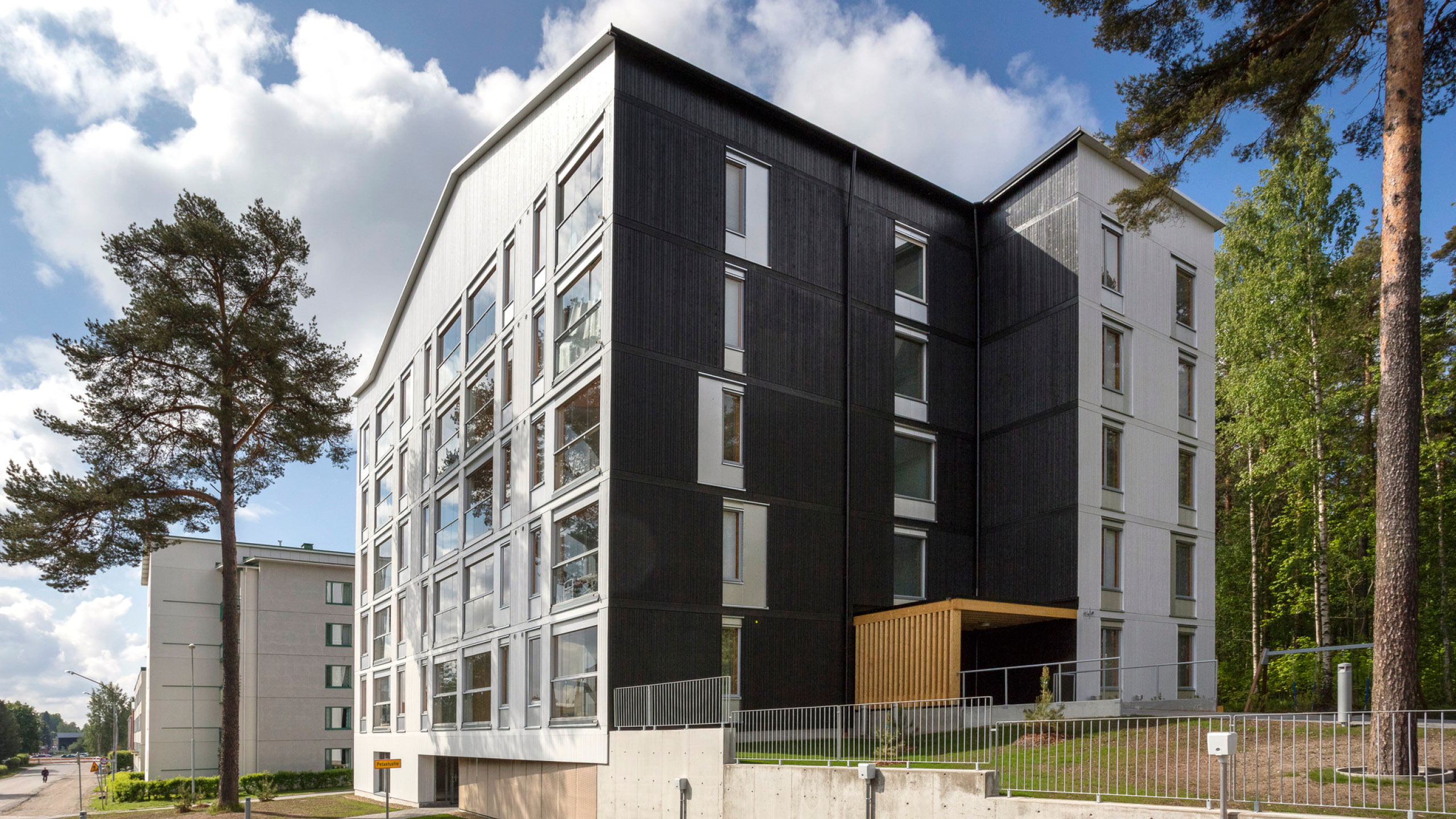 OOPEAA_Pihapetäjä_web-3