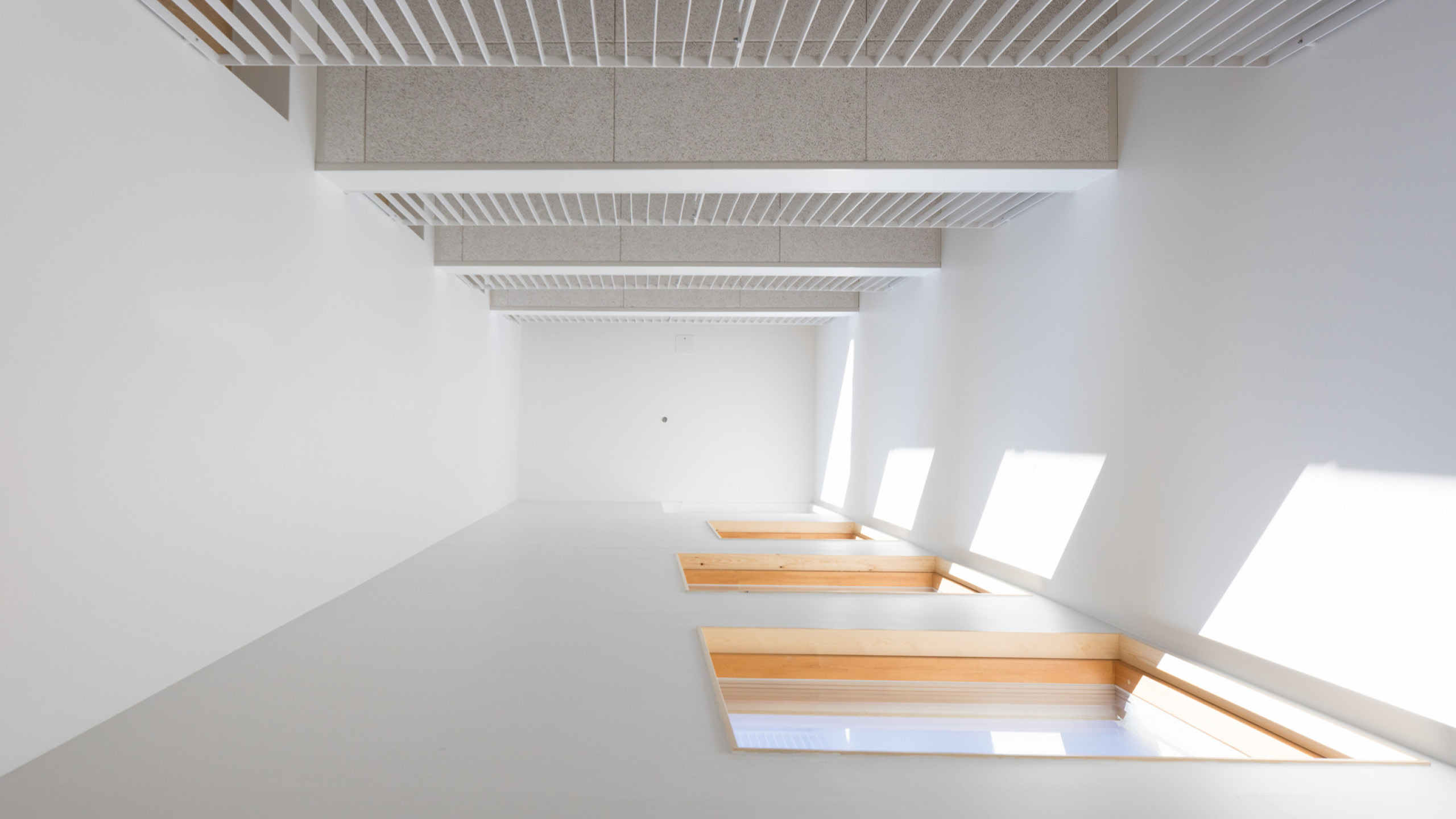 OOPEAA_Pihapetäjä_web-5