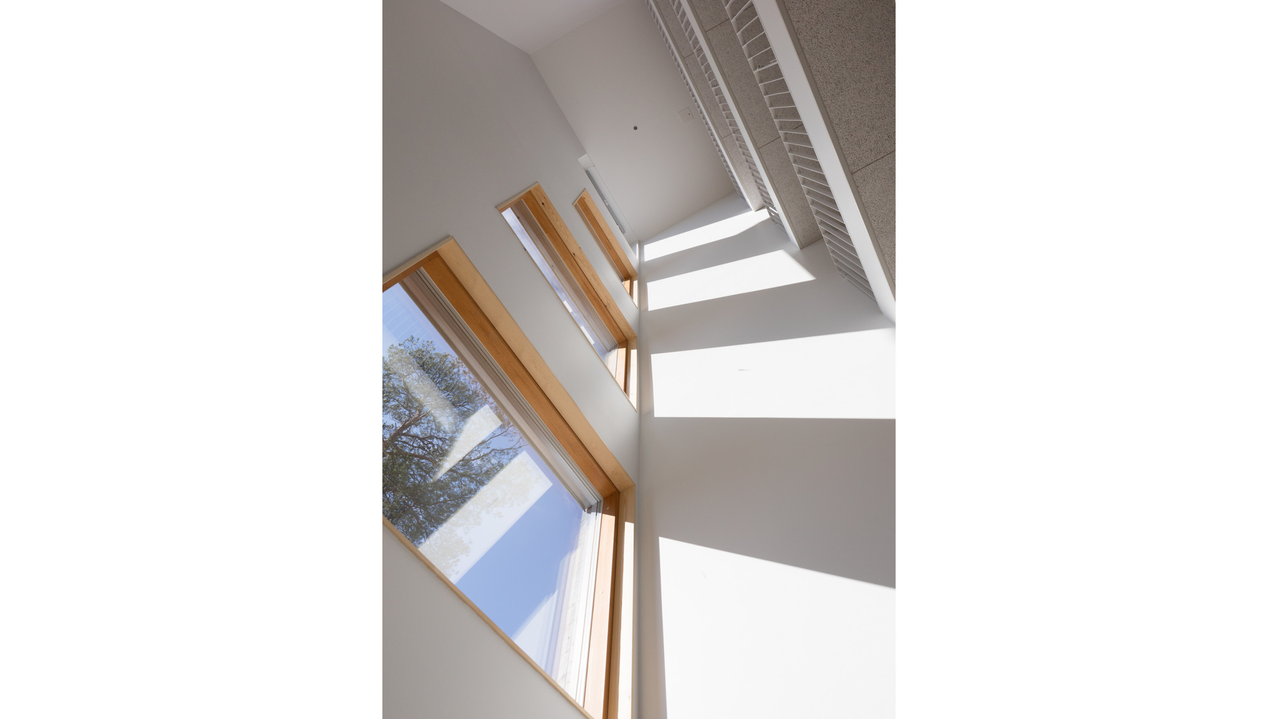 OOPEAA_Pihapetäjä_web-6