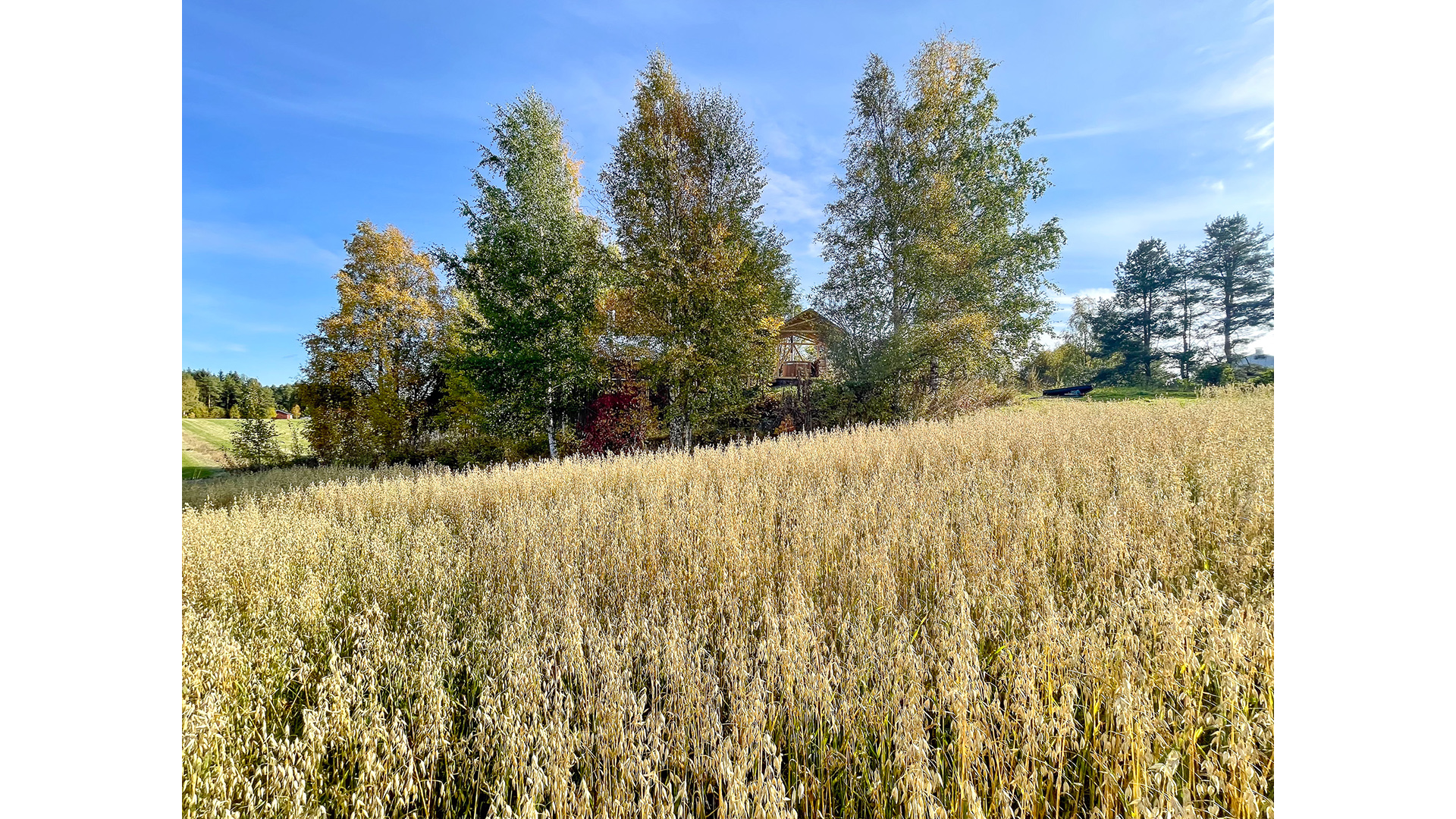 OOPEAA_Kylpytemppeli_Anssi Lassila_IMG_1390