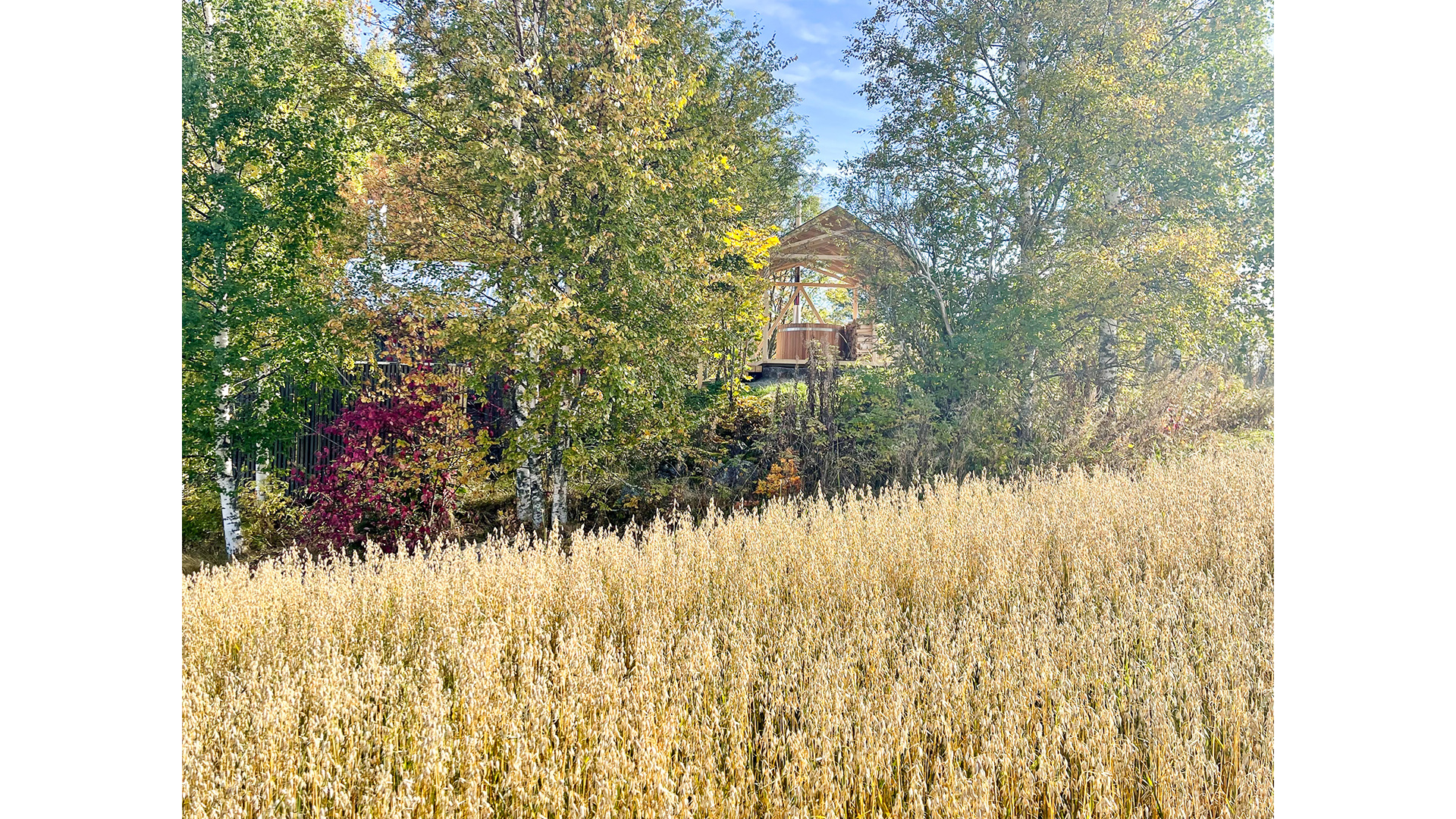 OOPEAA_Kylpytemppeli_Anssi Lassila_IMG_1391