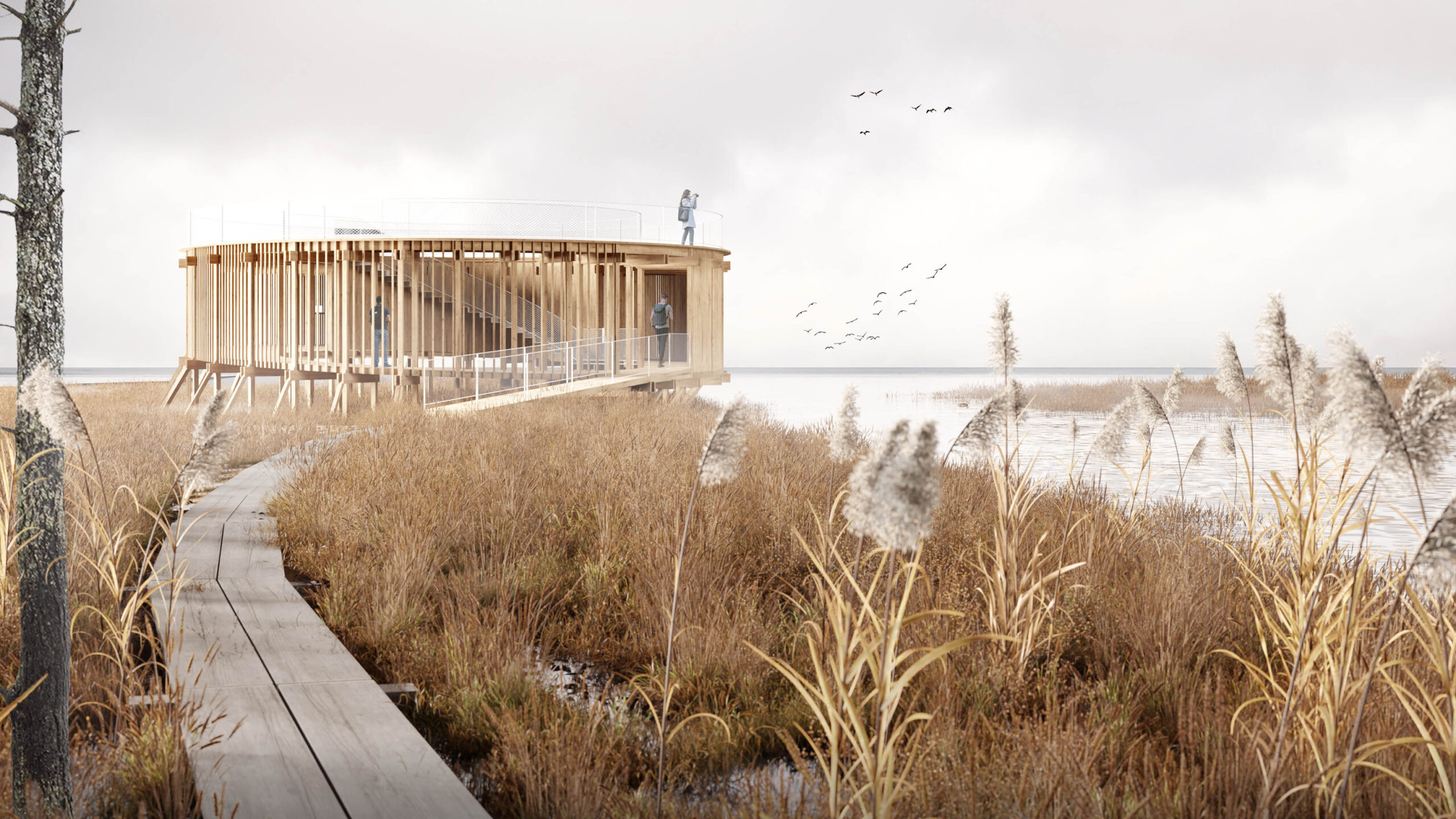 OOPEAA_Lintutorni Liminganlahti_10_approach