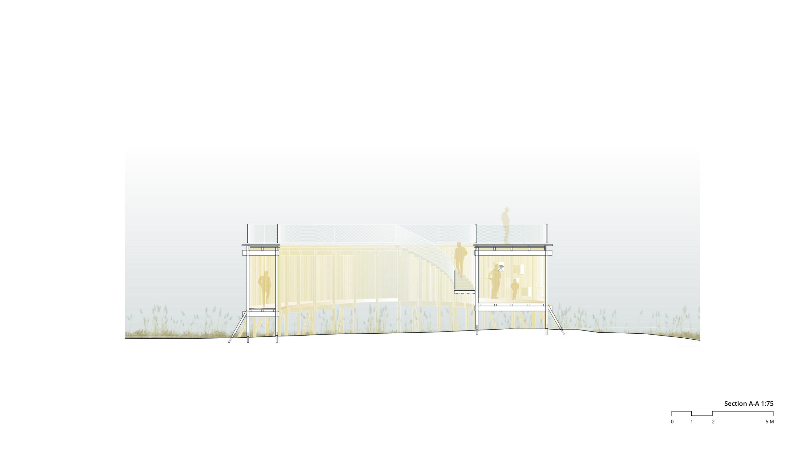 OOPEAA_Lintutorni Liminganlahti_5_Section A-A 1.75