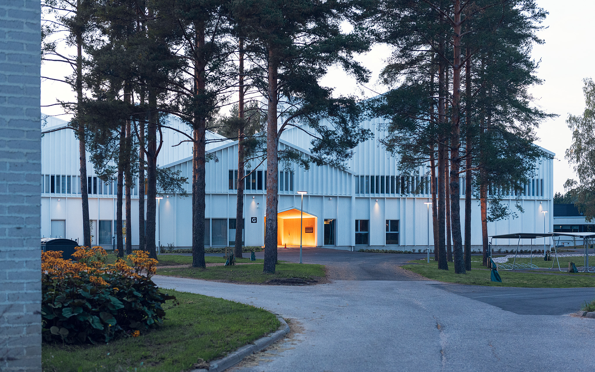 The new wooden education building is carefully placed to preserve the pine trees on the site