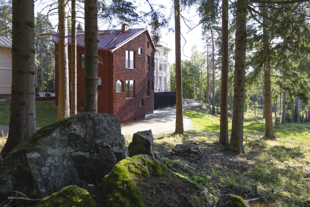 A view of a red wooden house seen through a pine forest